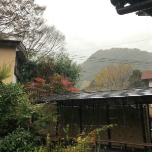 Where to Stay in Japan: The Ultimate Accommodation Guide for Every Traveler