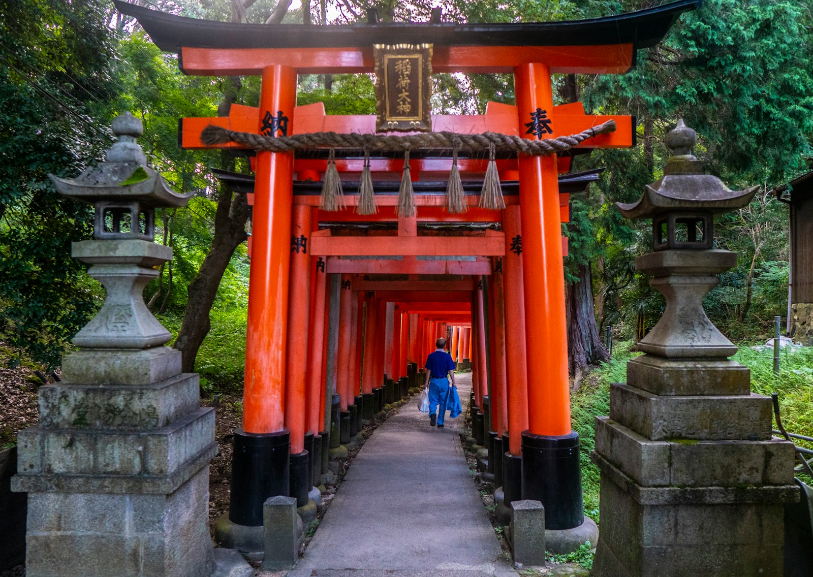 Fushimi Inari torii gates