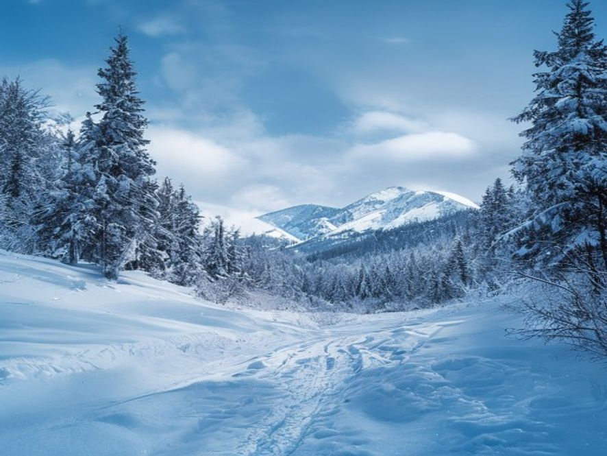 Hokkaido travel guide covering the places awarded stars in the Michelin Green Guide