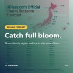 Cherry Blossom Forecast 2025: Your Complete Guide to Sakura in Japan