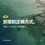日本樱花2027 — 花期预测、最佳赏樱地点与花见完全指南