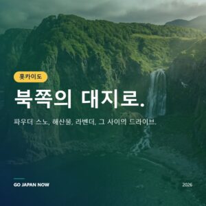 홋카이도 여행 2026 — 스키, 라벤더, 해산물 완전 가이드