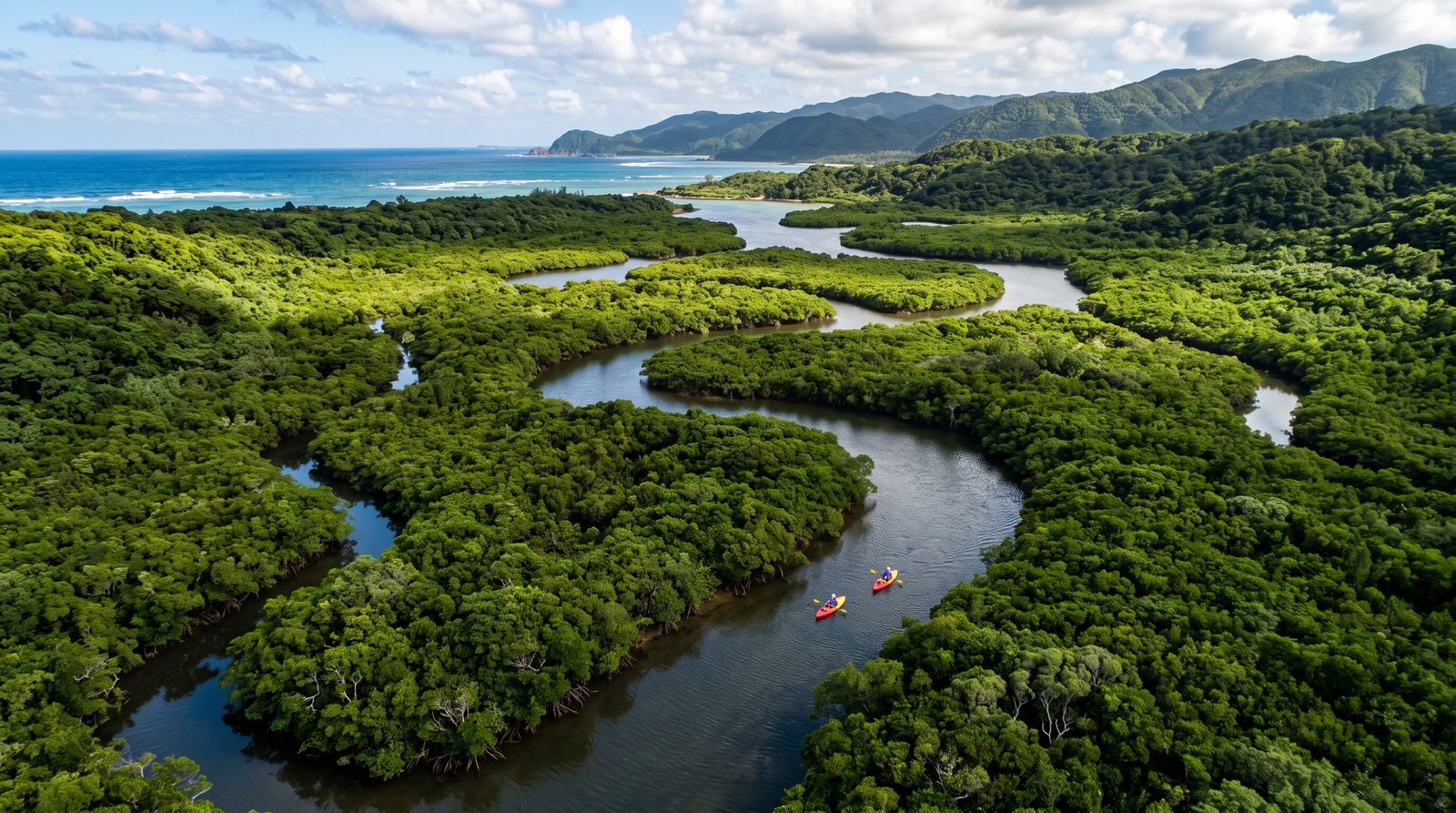 The mangrove forest on Amami Oshima, part of the two-star Amami Islands in the 2020 Michelin Green Guide