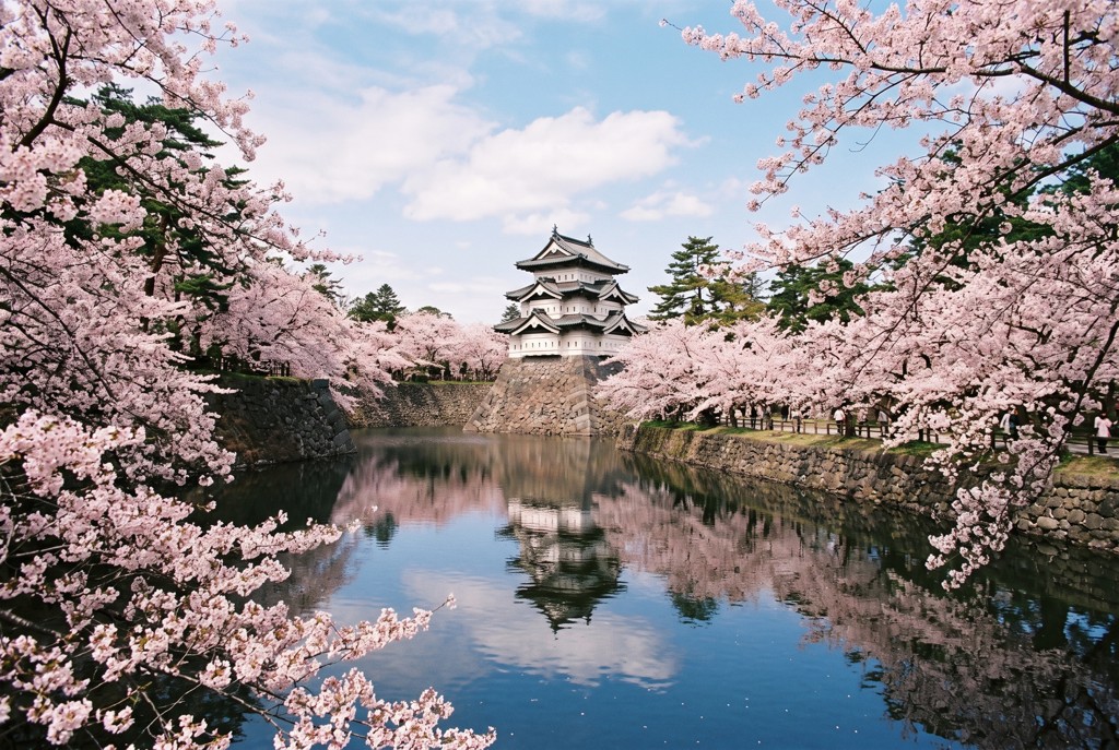 Hirosaki Castle framed by cherry blossoms over the moat in spring