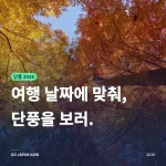 일본 단풍 2026: 여행 날짜별로 고르는 도쿄·교토·오사카 당일치기 단풍