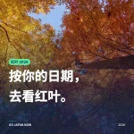 日本红叶2026｜按行程日期选去处：东京、京都、大阪出发的赏枫地点